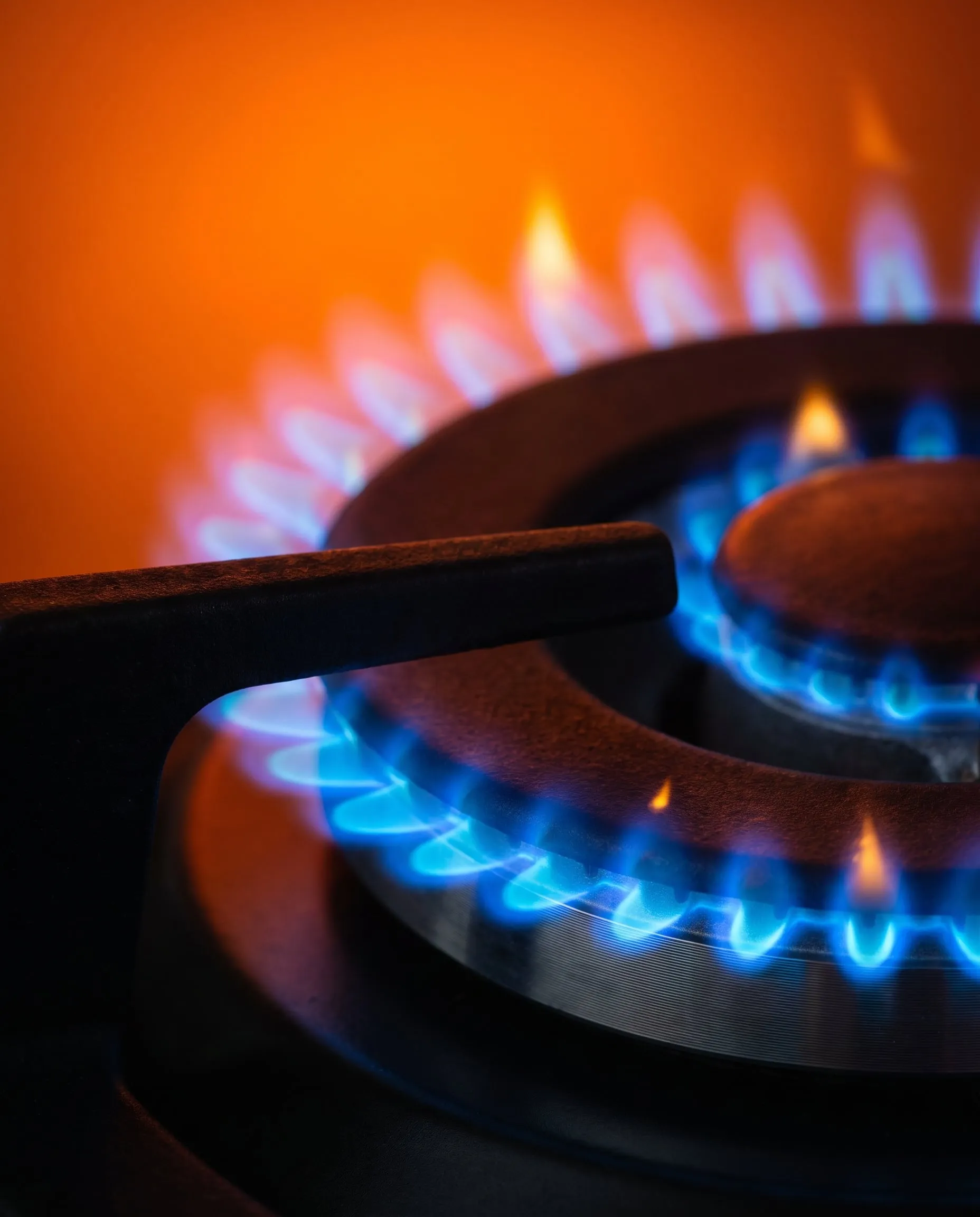 A ring of blue gas flames on a black cooktop burner