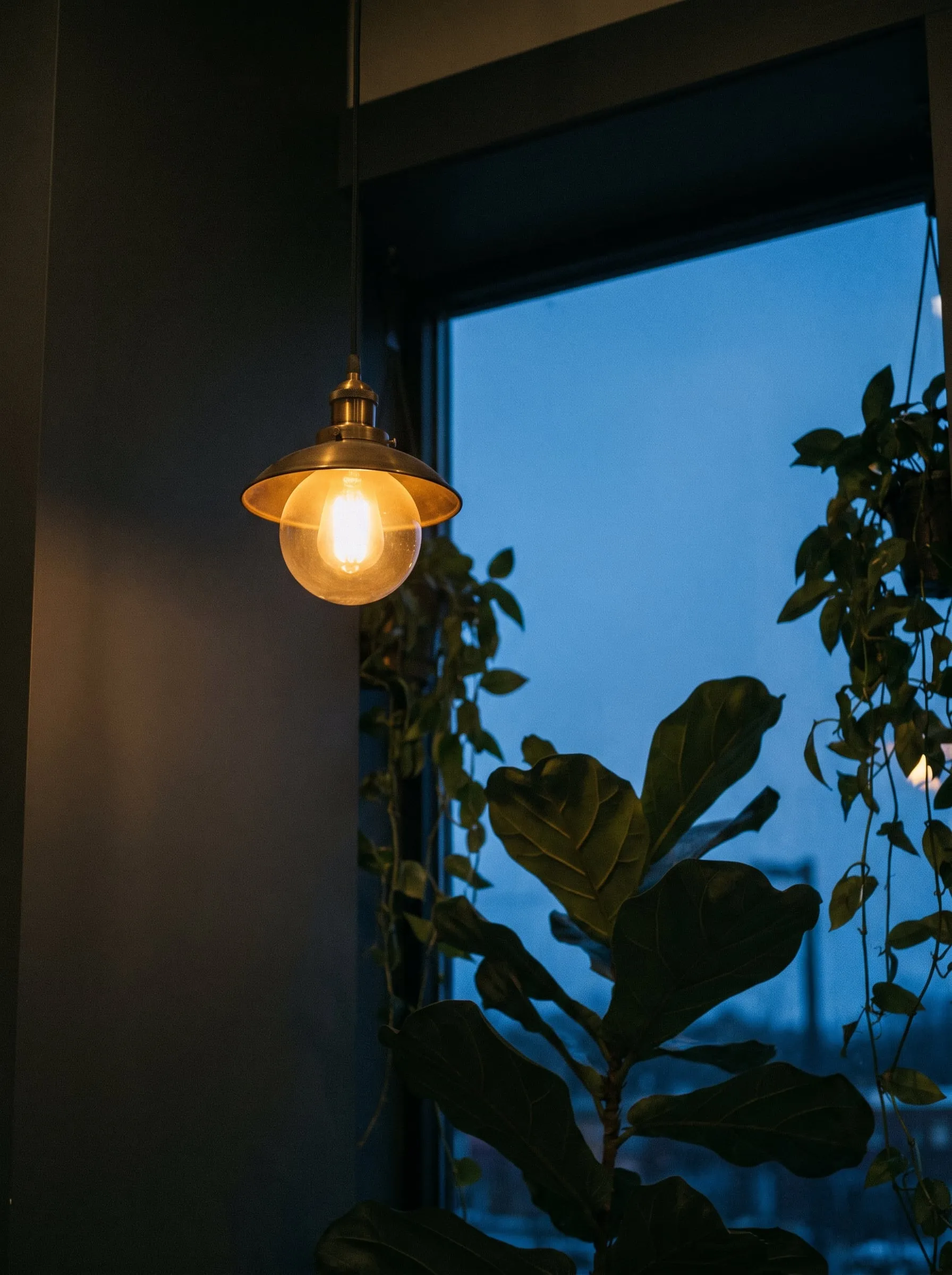 A brass pendant lamp glowing warm against a blue dusk window with plant silhouettes