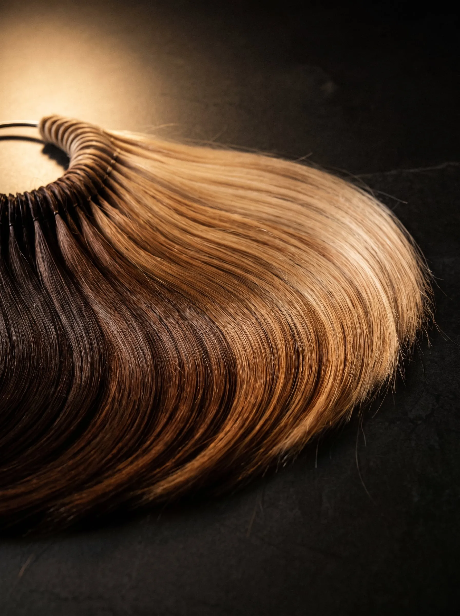 A fan of hair colour swatch tresses running from deep brown through caramel to pale champagne blonde