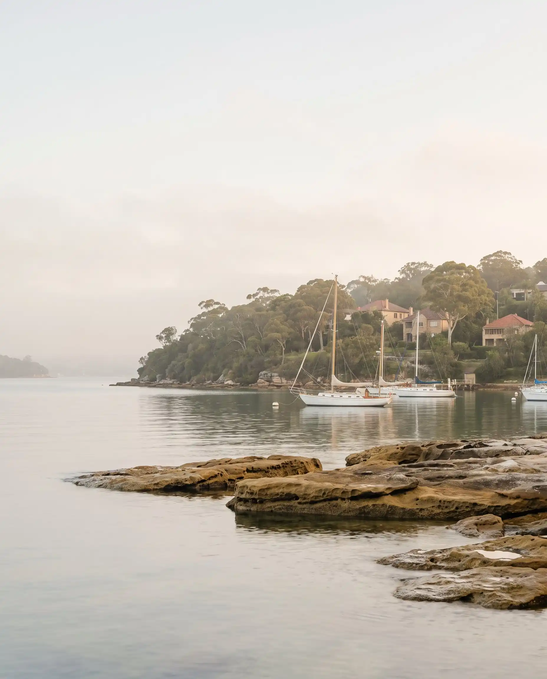 Still harbour water at dawn with yachts on moorings, sandstone rock shelves and houses among the trees on the far headland