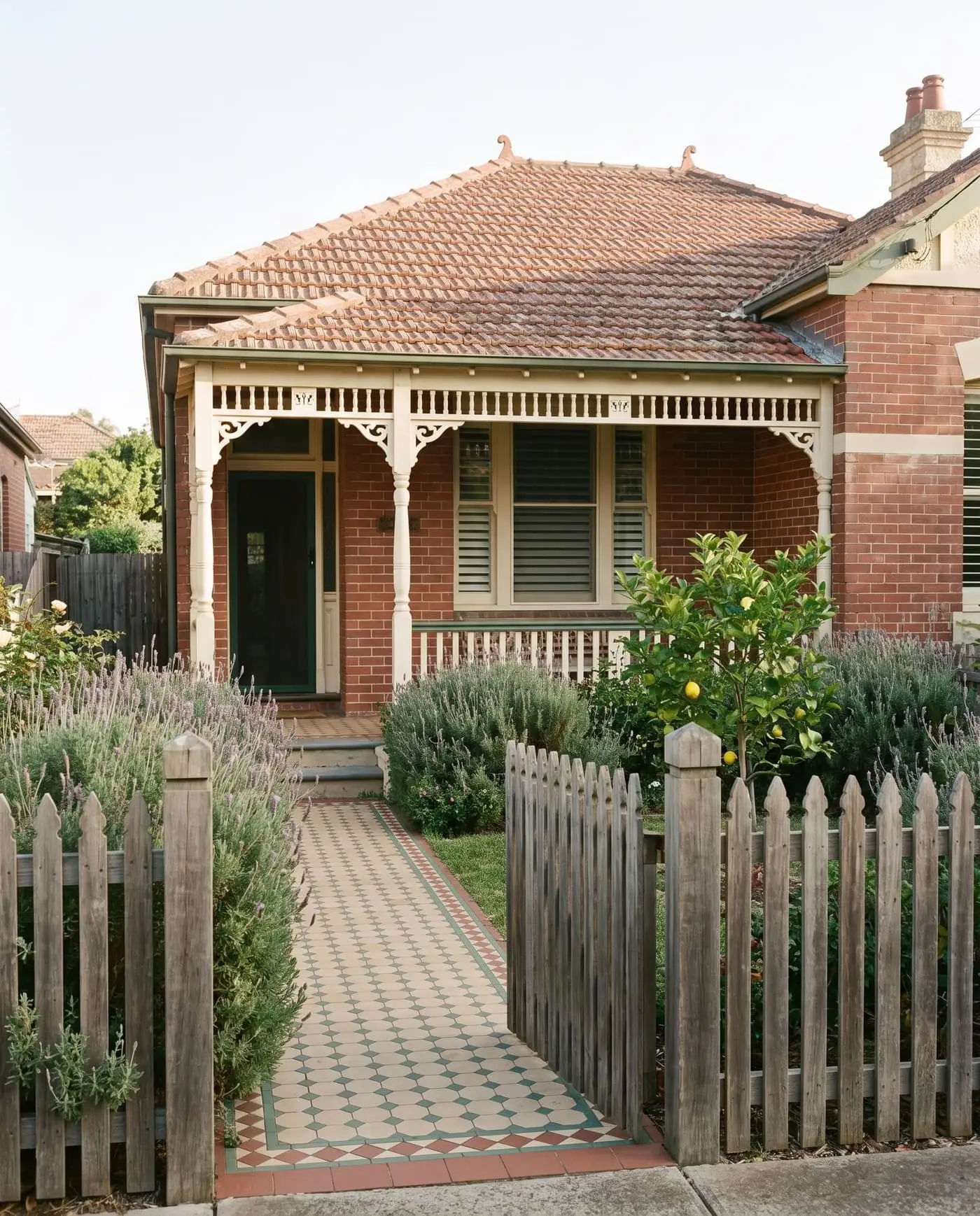 Federation semi with a timber verandah, tiled path, lavender and a lemon tree behind a picket fence