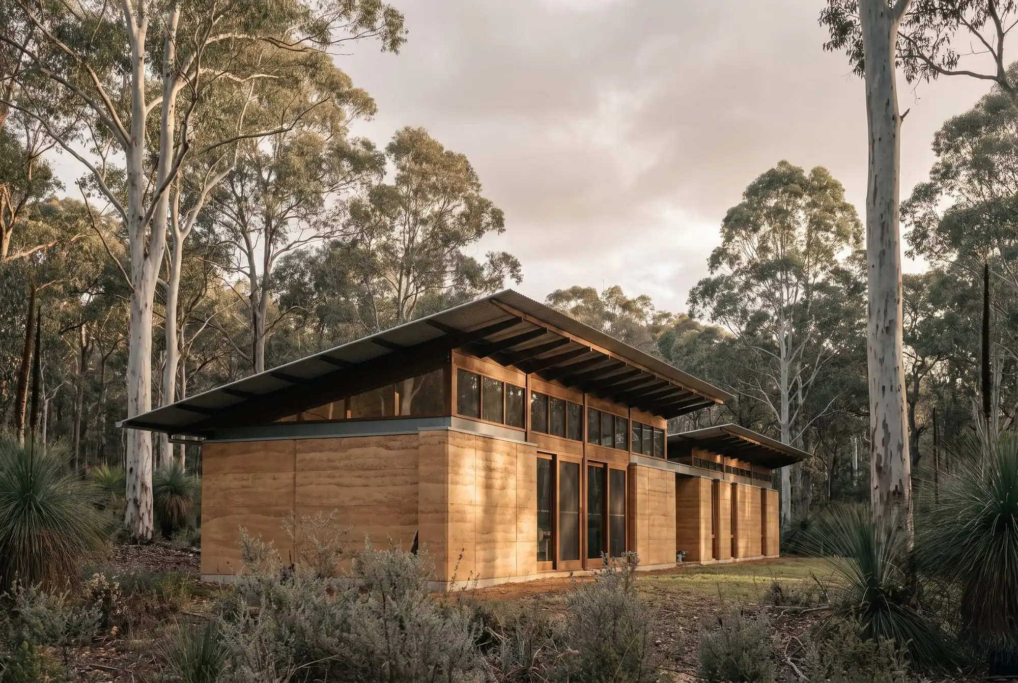 A long, low rammed earth house with a deep skillion roof among tall pale eucalypts and grass trees in late afternoon light
