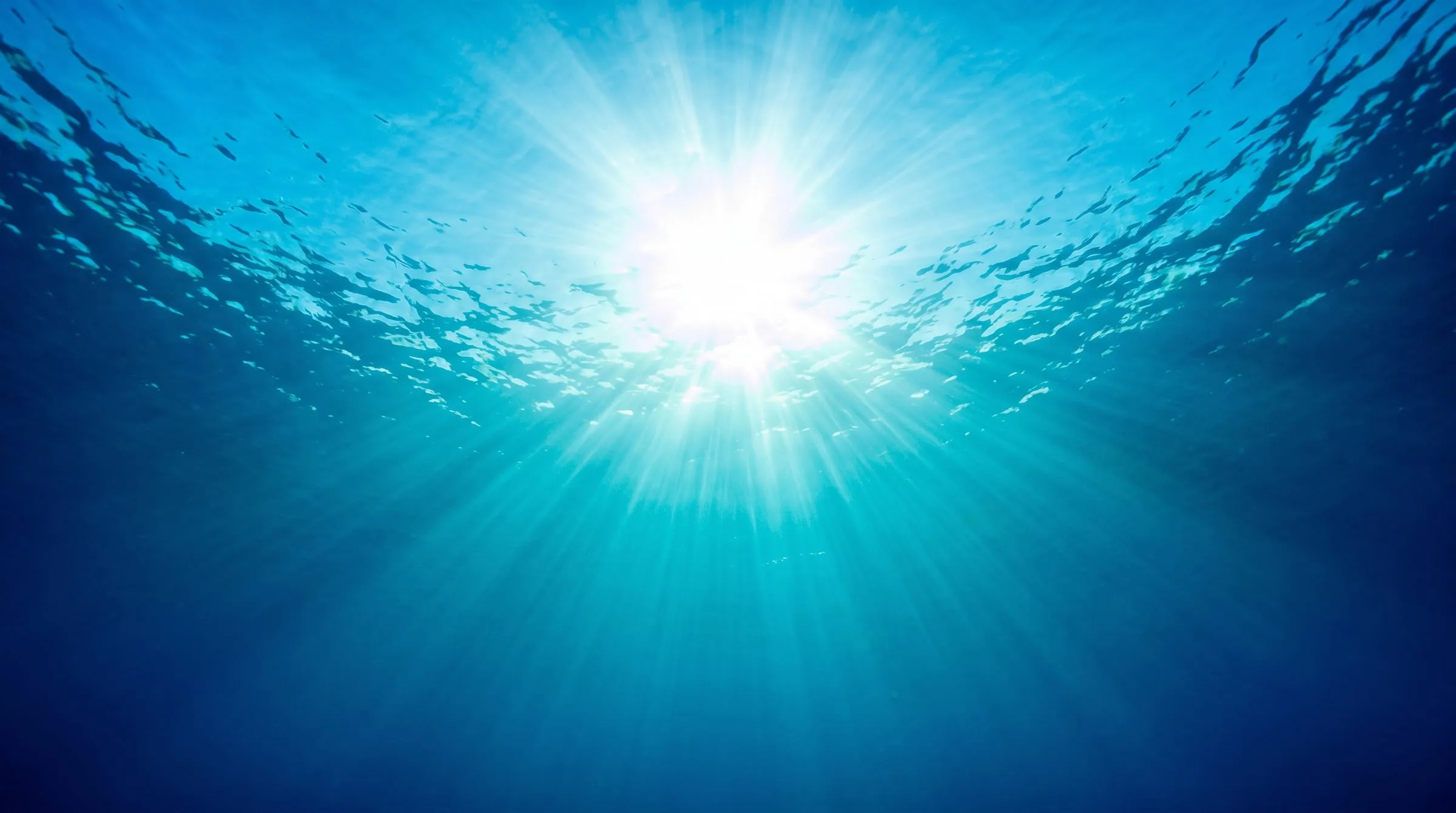 Sunlight streaming through the sea surface, seen from below