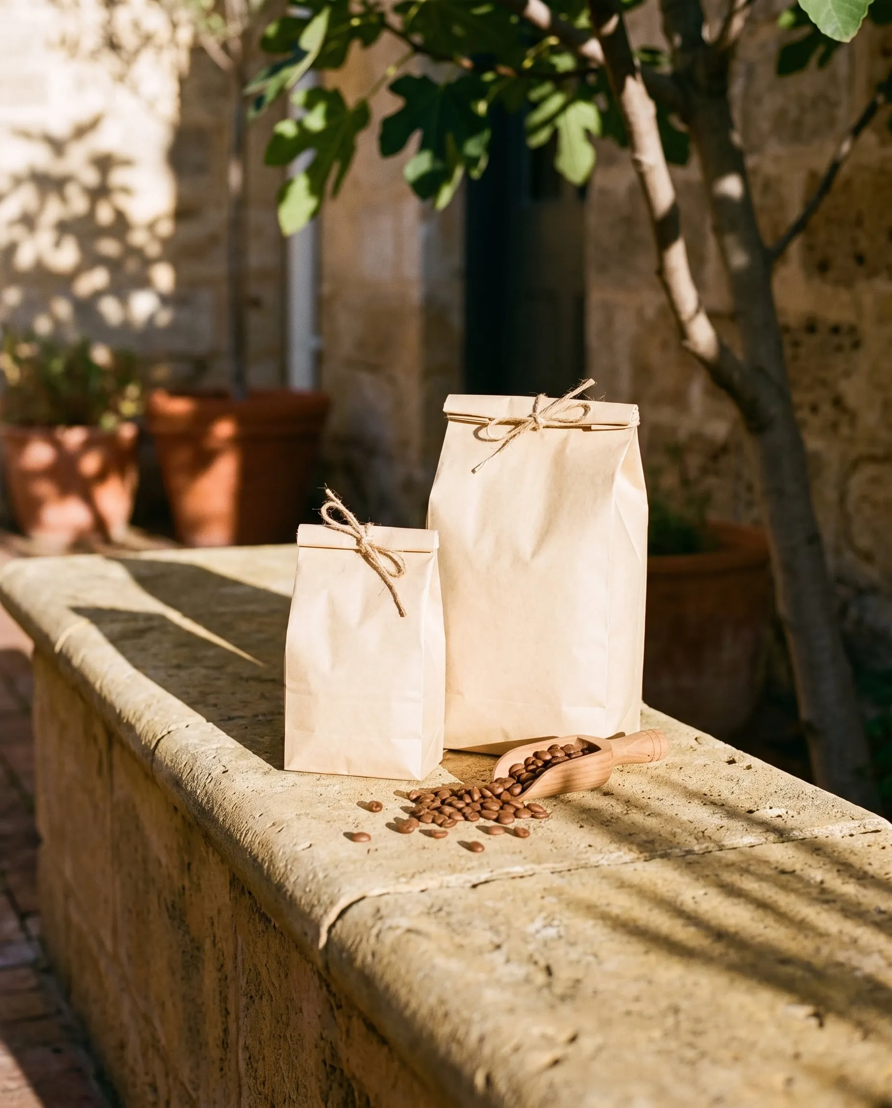 Two plain paper coffee bags tied with twine on a sunlit limestone bench, roasted beans spilled in front