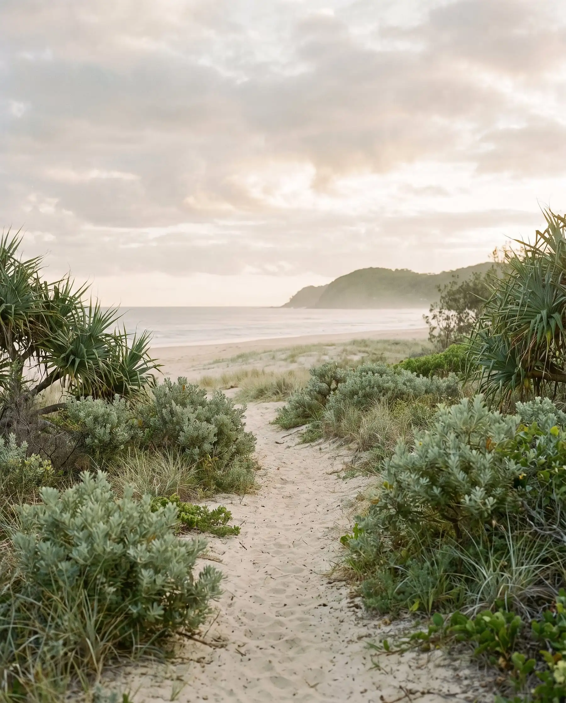 A sandy beach track through coastal scrub and pandanus, opening onto a quiet beach and a green headland at dawn