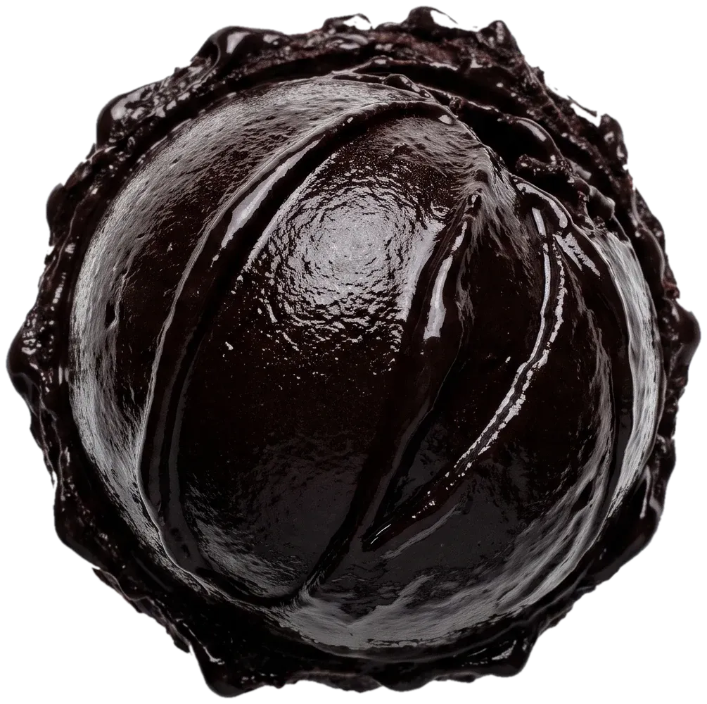A glossy scoop of dark chocolate sorbet