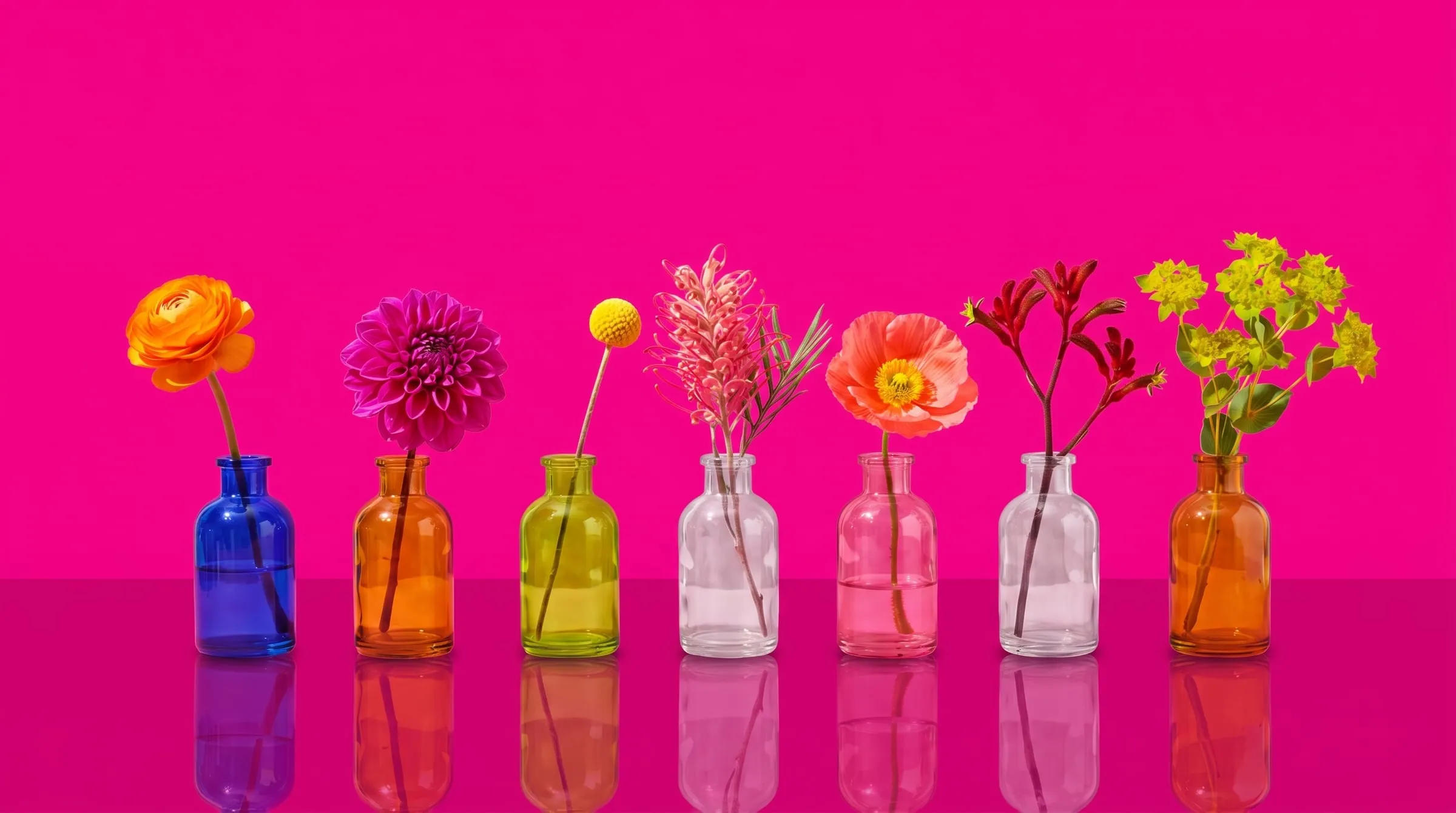 A row of coloured glass bud vases, each holding a single bright bloom, against a hot pink wall