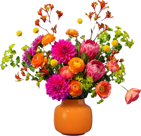 A huge, loose bunch of magenta dahlias, orange ranunculus, pink protea, kangaroo paw, billy buttons and poppies in a tangerine vase