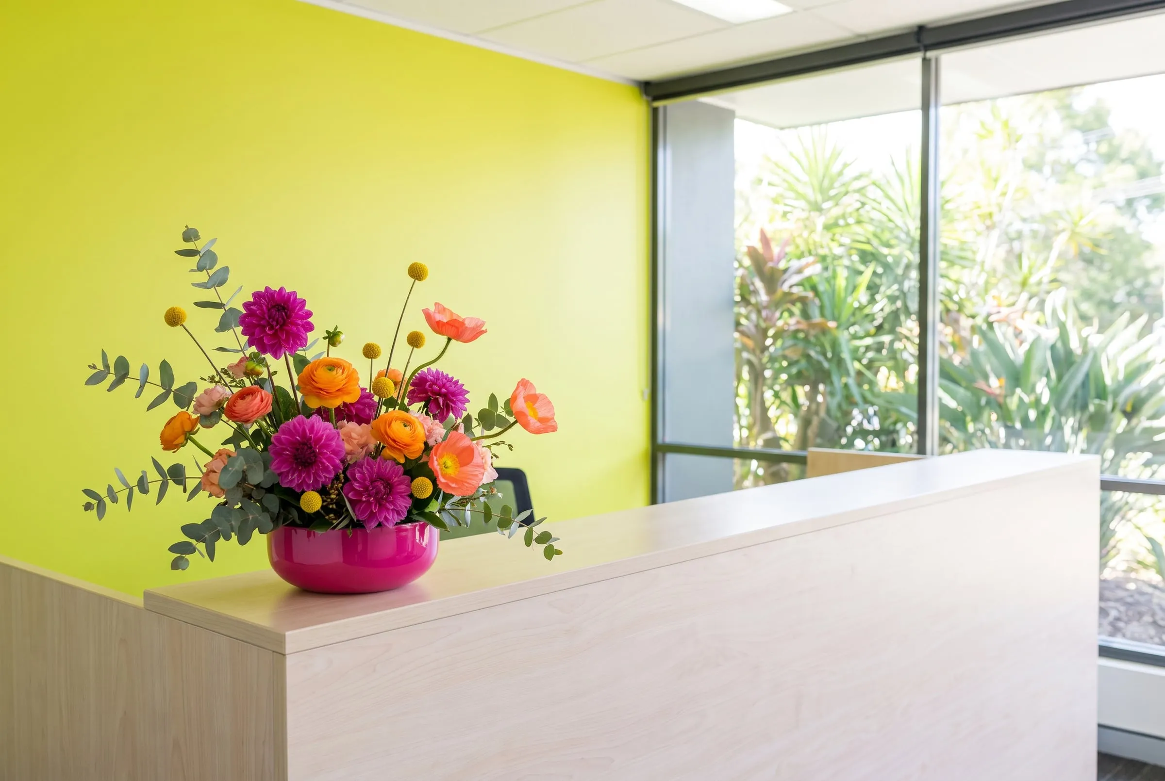A low arrangement of dahlias and ranunculus in a pink bowl on an office front desk against a lime green wall
