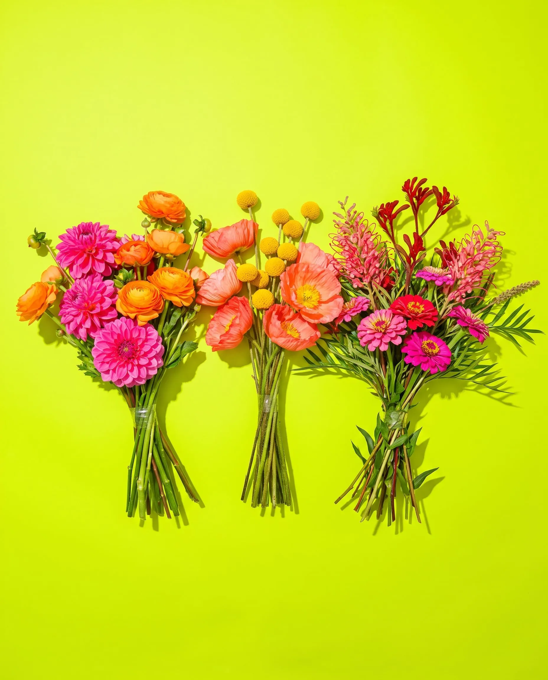 Three loose wedding party bouquets of dahlias, poppies, billy buttons and grevillea on lime green paper