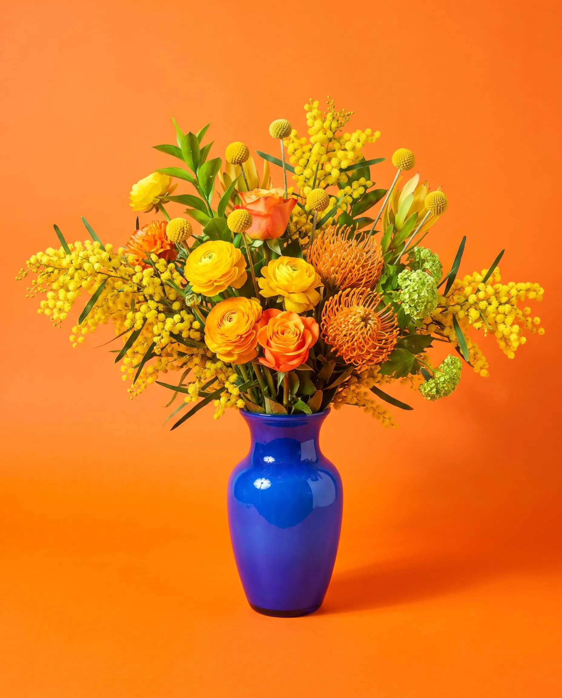 A loose bunch of wattle, yellow ranunculus, orange roses and pincushion protea in a cobalt vase on an orange backdrop