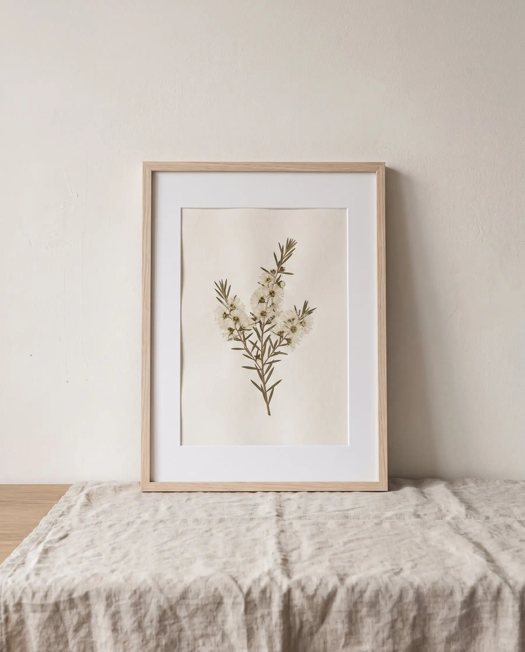 A framed pressed kunzea botanical print leaning on a wall