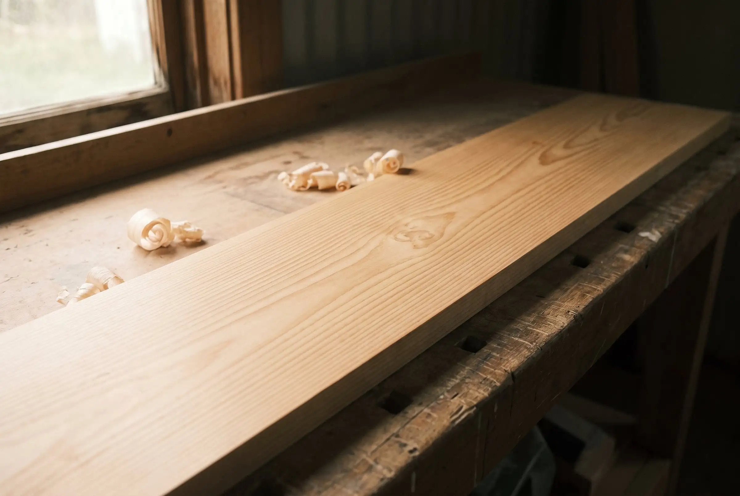 A freshly planed plank of golden Huon pine with curled shavings on a workbench
